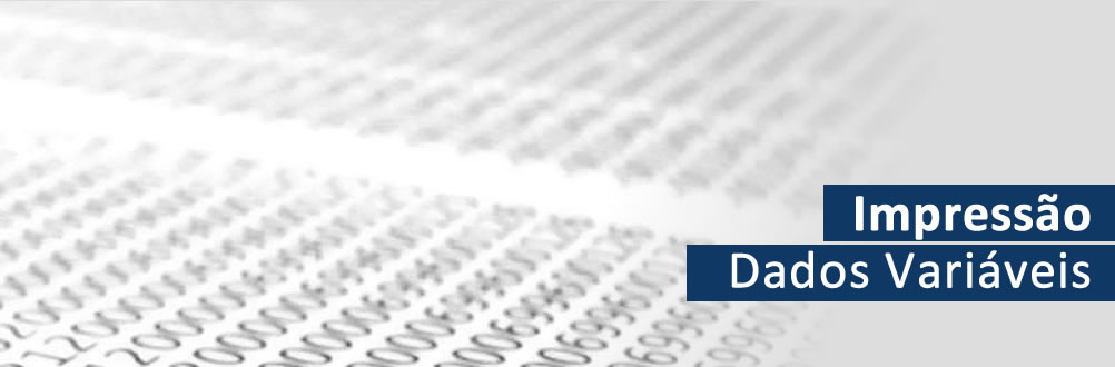 Dados Vari�veis